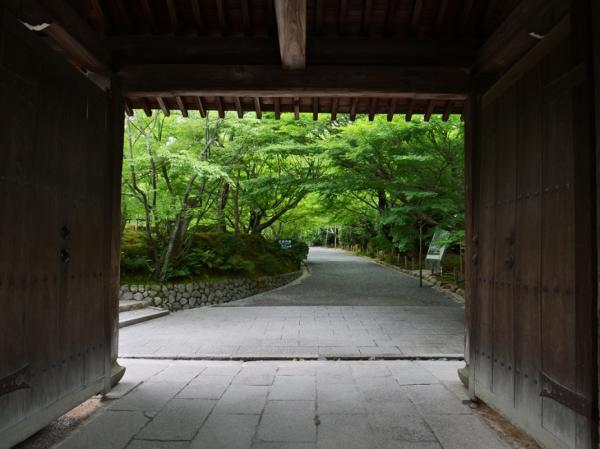 日本退休新現象：老後出家！不是職業，而是新自我的生活之道 