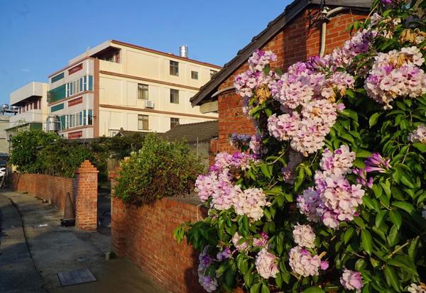 賺錢在台北，生活在彰化！黃嘉倚：北漂20多年返鄉二地居，如何把日子過得閃閃發亮？