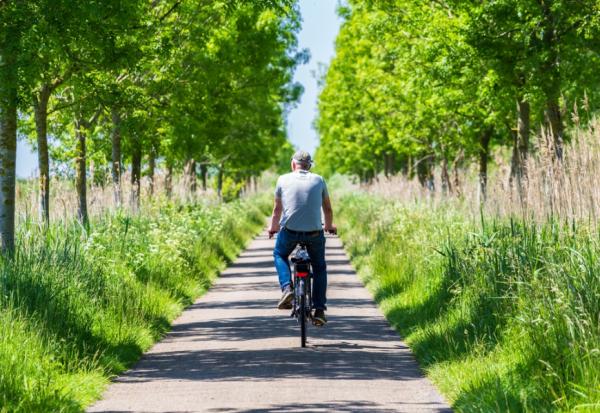 70歲阿公每天躺沙發休息更顯老！百歲醫生提醒他這件事，一年後變得有活力、另一半也開心