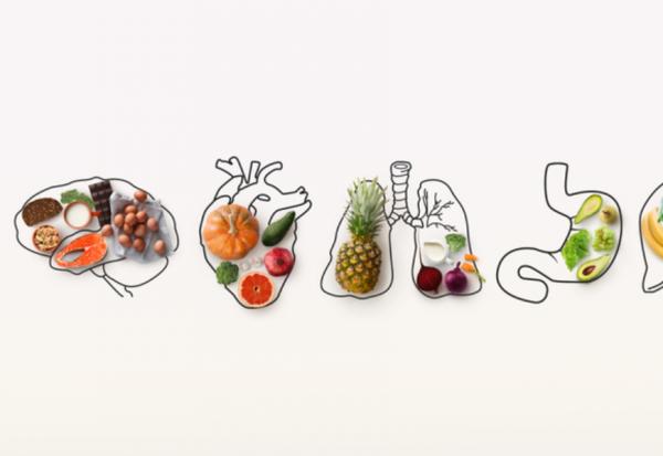 眼睛、腸胃、大腦幾歲開始變老？14種人體器官平均退化年齡表，掌握黃金時間提早預防