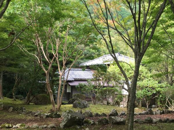 吳佳璇：隔代教養的童年，領我到伊豆作家井上靖故鄉 