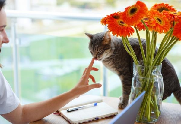 有福氣與匱乏的人，差在哪？面對不可抗力的事、他人之惡，能「只是笑笑而已」的5種不生氣練習