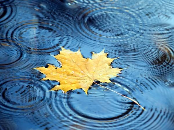 後悔不是負面情緒！蔡康永：「後悔」，才能讓人生更好