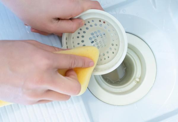 小心1個網購紙箱，竟能帶進10隻蟑螂！昆蟲學家黃紹毅：徹底消滅家中蟑螂，做好5件事 