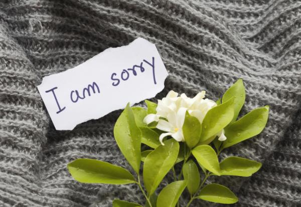 怎麼道歉讓對方感受較好？脫不花：把關係導向未來，避免對方留下壞印象的4原則