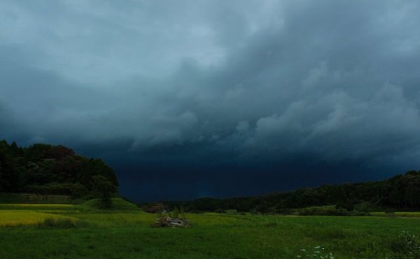 「颱風」與「颶風」的名稱由來