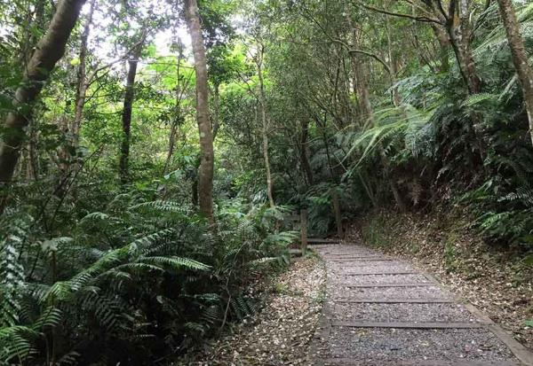 北台灣5條平易近人的步道推薦，50+、怕爬山傷膝蓋的人也適合