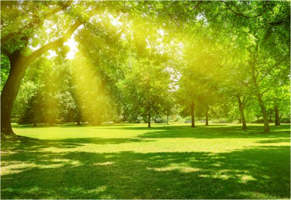 每天曬太陽，比不曬的人年輕5歲！4理由說明為何你應至少日曬15分鐘