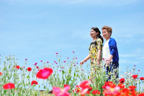 陪失智父母走到最後，如何不插管、不吃藥迎向最棒的終點？