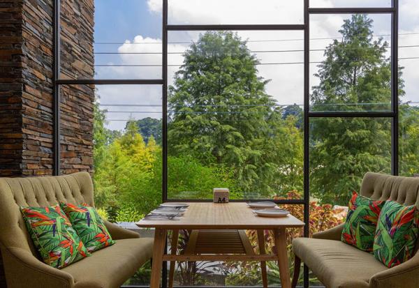 秋冬限定的旅行風情！7家餐廳、咖啡店、景觀旅宿，悠閒欣賞落羽松美景