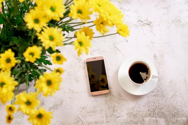 避免分享疫情卻觸法！分辨假新聞的3原則，與拒絕資訊影響心情的方法