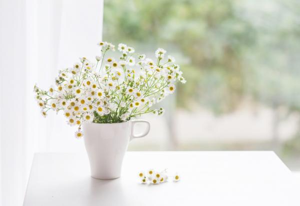 大腦會負面思考，是為了讓你平安活著！心理師：3個方法維持心理韌性，和負能量和平共存