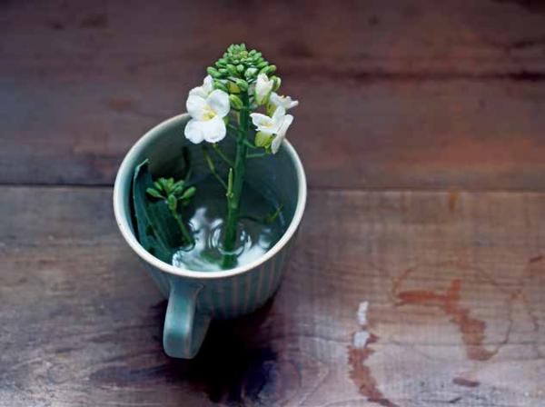 盧怡安：盛夏流理台上的花意，生活裡的情趣