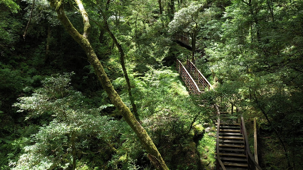 國慶連假，全台13處國家森林遊樂區入園半價！喜歡安靜、想紓解壓力，去哪裡最好？