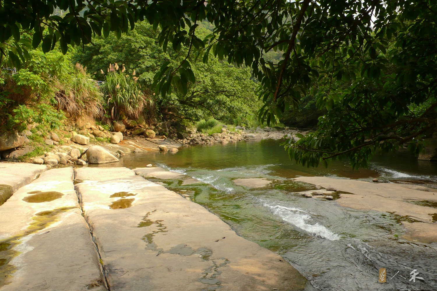 搭公車就能抵達，台北近郊自然小旅行路線