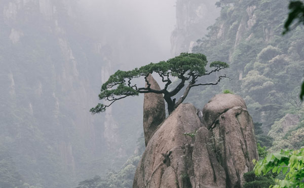 行仁道的強者：君子固窮