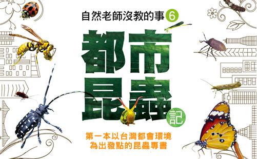 昆蟲室友，日夜陪伴你