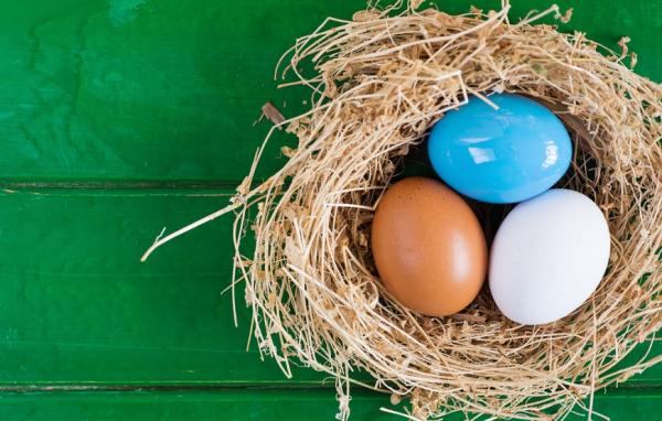 和年輕時不同，保險留最重要的！50歲後必要的3種保險