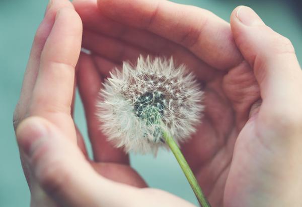 2分鐘告別壞心情！500萬觀看TED心理學專家5建議：促進身心健康，應少和「會剪你翅膀的人」相處