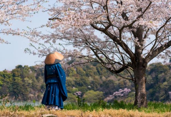 日本最長壽職業，免疫力只靠1件事！和尚「本來面目」養生法，不依賴藥物也有強健體魄
