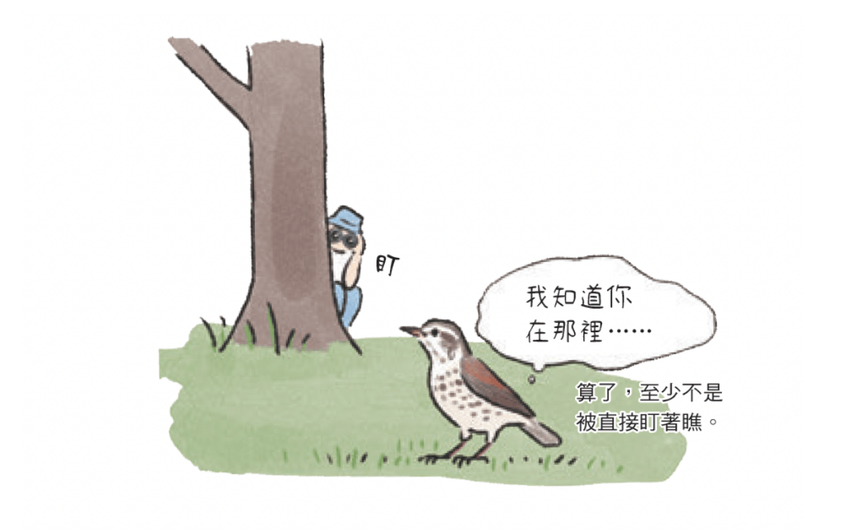 賞鳥一定要跑去郊外？《可愛又真實！日常鳥生活》帶你從上班、上學途中就開啟美好的賞鳥體驗