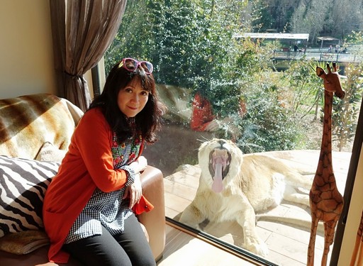 【梁旅珠專欄】和野生動物的超親密接觸，澳洲一日動物管理員之旅