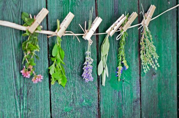 優雅不要忽略氣味！女性更年期後常見5種體味，如何預防？