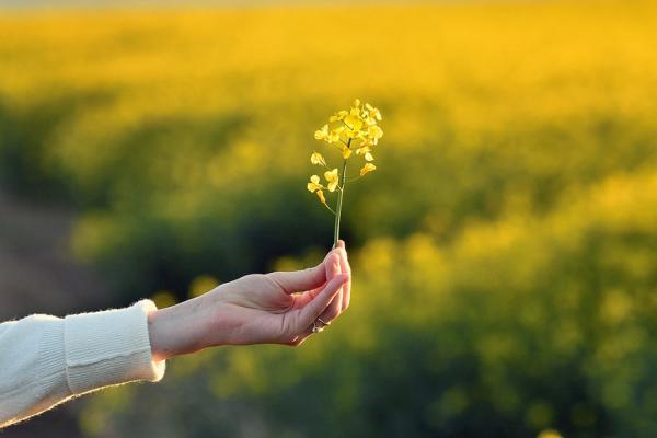 杜丞蕓專欄｜如何改善大小毛病不斷？養身先養心，2方法重建身心秩序