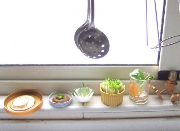 自己種菜最健康，可是沒有地？在家裡就能做的「水杯種菜法」