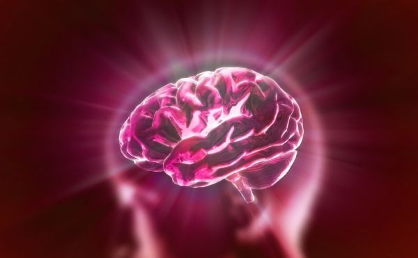 忙碌大腦自我檢測》大腦一直負荷超載？上班族必學的 brainSHIFT 消除疲勞法｜《大腦不疲勞》