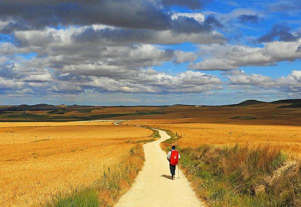 一個月只花3萬多的西班牙朝聖之路旅行！林坤茂：簡單就是豐足，走在陽光下看小麥田就很舒服