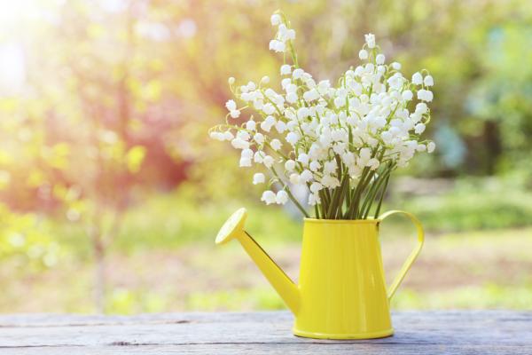 照顧老爸老媽的辛苦日子，需要給自己一點滋潤