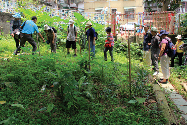 【綠主張】共托、共食、共耕，台北這個社區讓老人不再孤獨老去