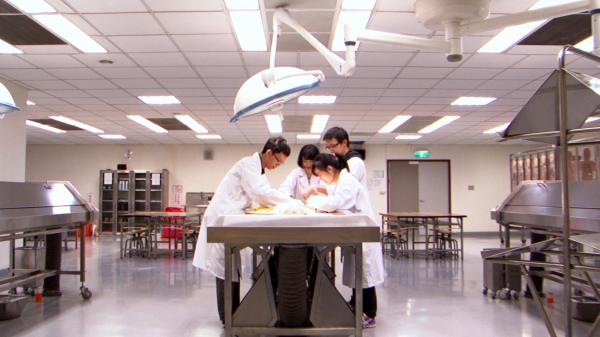 大體老師教會我們的一堂課：不用害怕死亡，反正我們活過了啊