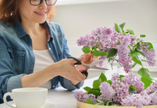 換枕頭套、插花就能改善「高齡腦」？每天20秒做一件事，增強腦神經網絡，生活更有動力