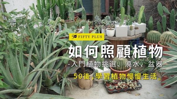 【50+ Living】第一次種植物就上手