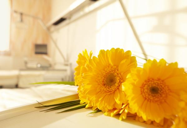 陳乃菁專欄｜長期臥床家人不插管不氣切，卻懷疑自己的決定！讓長輩善終減少折磨，家人須預做3種準備