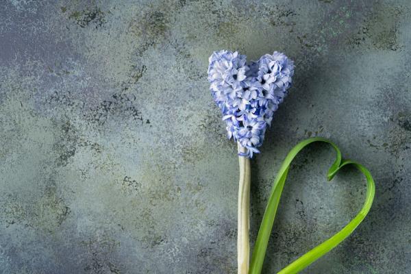 寫給憂鬱的朋友們 鄧惠文：瘟疫不是病人的錯，憂鬱症也不該是