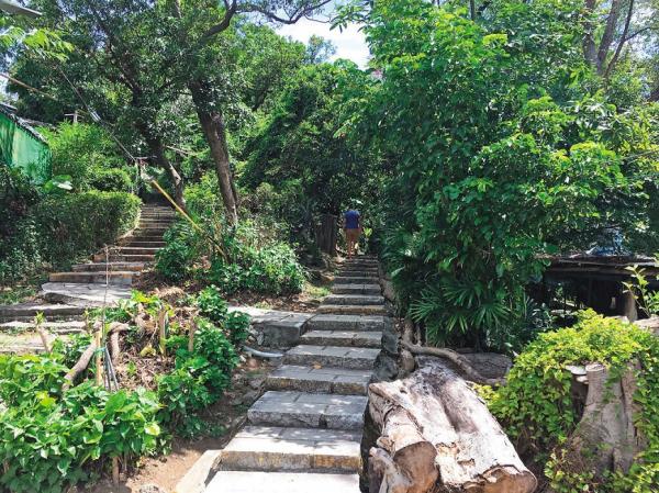 親近山林不用長途跋涉！8條說走就走、輕裝出發的家山路線推薦