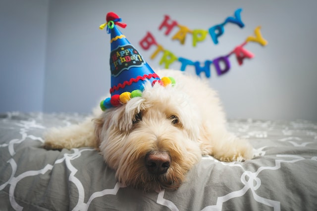 全家人同一天生日的機率是多少？統計讓數字說話