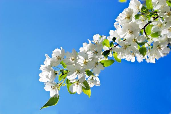 什麼是「幸福」？殯儀館接體員：看多了，財富真的不重要