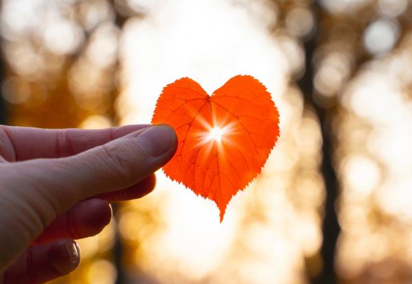 醫師、有信仰的人怎麼看斷食善終？精神科醫師林信男：生命如何活出意義，應尊重每個人不同的心境