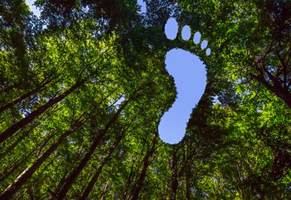 讓回憶充滿美好的大腦使用法！哈佛神經科學家：你尋找什麼，就會留下什麼