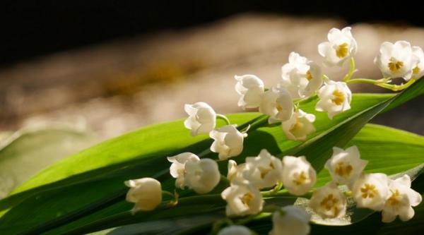 如何與疼痛共處？不吃藥的4方法，先用健康的方式緩解疼痛