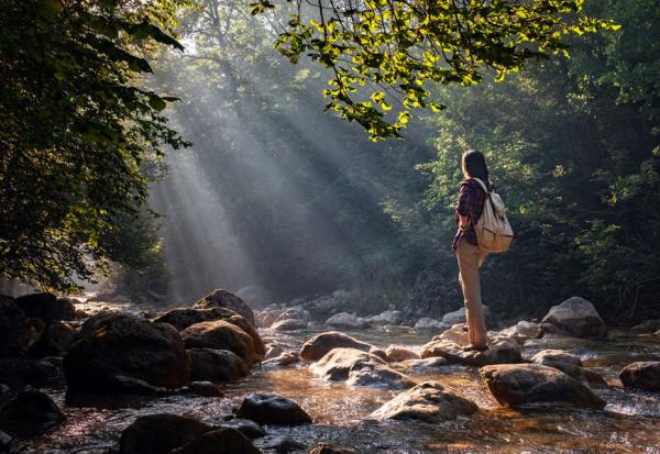 自然是免費抗憂鬱處方！研究：每週親近自然至少3次、每次20分，顯著降低壓力荷爾蒙皮質醇
