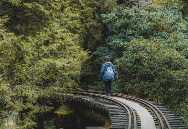參天古木包圍的絕美鐵路步道！阿里山眠月線重啟：申請、交通、裝備、安全重點一次看懂