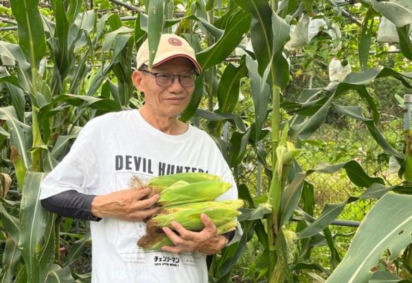 70歲自學拍片教種菜，瀏覽量達4000萬！阿星：退休後給自己一畝田，兼顧學習、運動又老得慢 