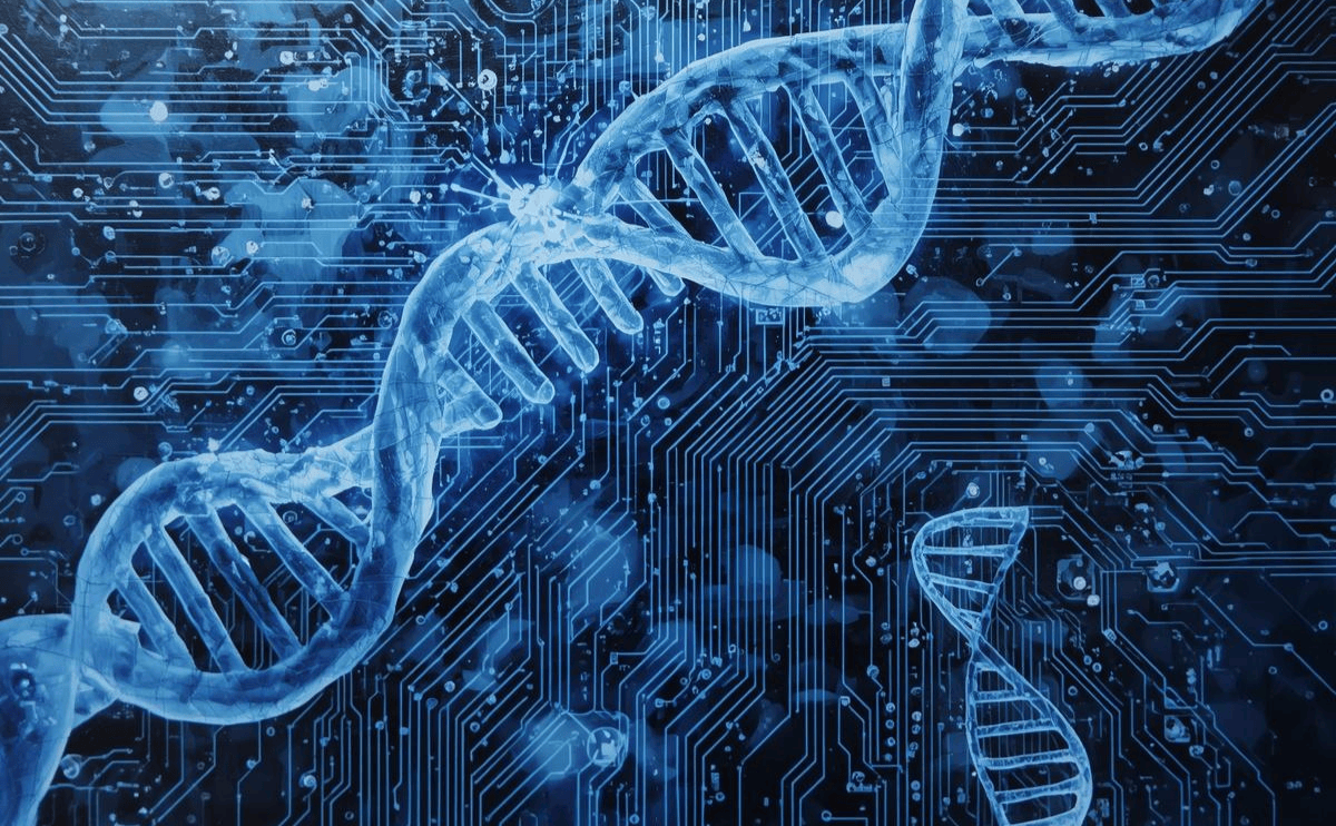 基因與環境造就人生!？生物社會學家康利揭開「先天與後天」交織的成敗真相《社會也是一個基因體》