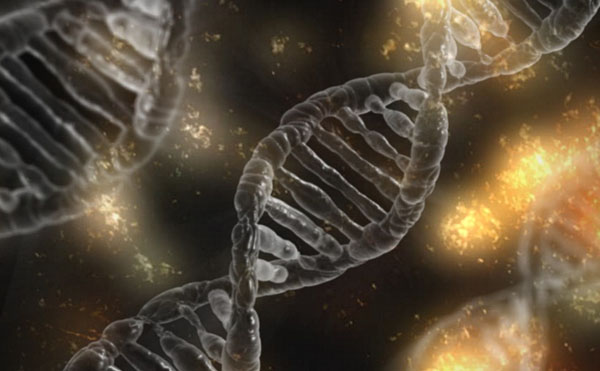 DNA的誕生過程，有了「它」才能發現生命的多樣性