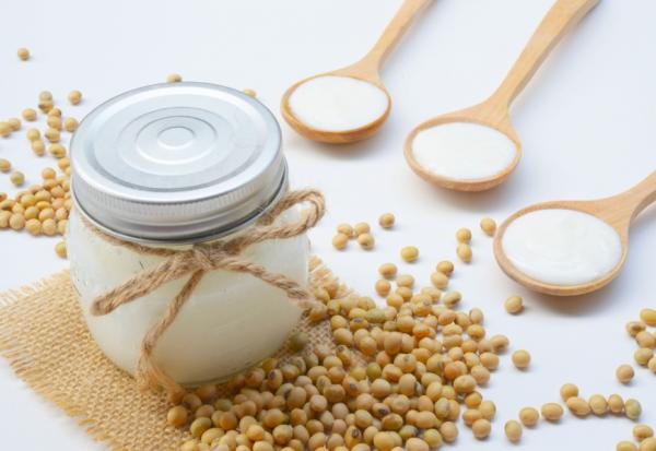 同時有豆漿和優格的營養，可降膽固醇、改善便祕的豆漿優格怎麼吃？如何用豆漿自己做？